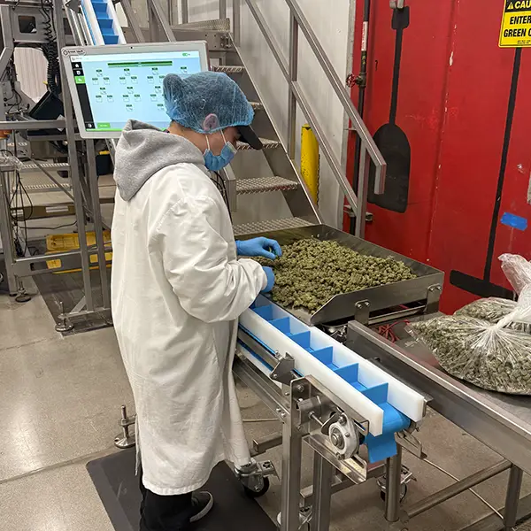 vertis-products-packaged-flower-green-vault